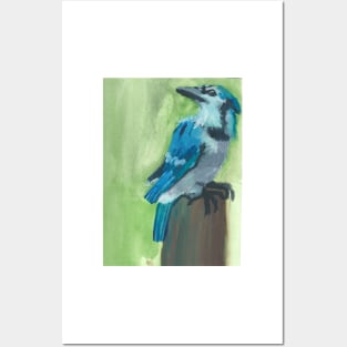 Blue Jay Watercolor Posters and Art